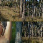 Nikky Dream - Wild Bush (2025-07-11) - Main Cover